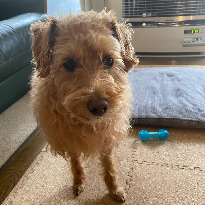 4f93f401 7b99 4069 b572 bbda8536286e 1646691235755