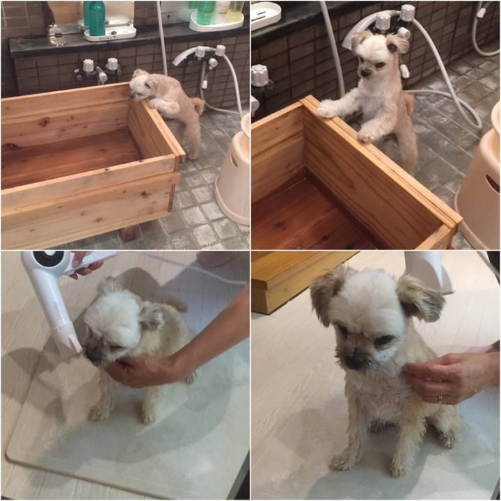 4f941496 0981 423e 9fa0 6723afa6a2e5 1560604803132