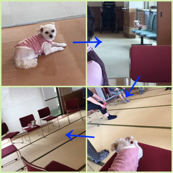 4f942ee2 2f10 4351 bde6 e210f2c34413 1559307999104