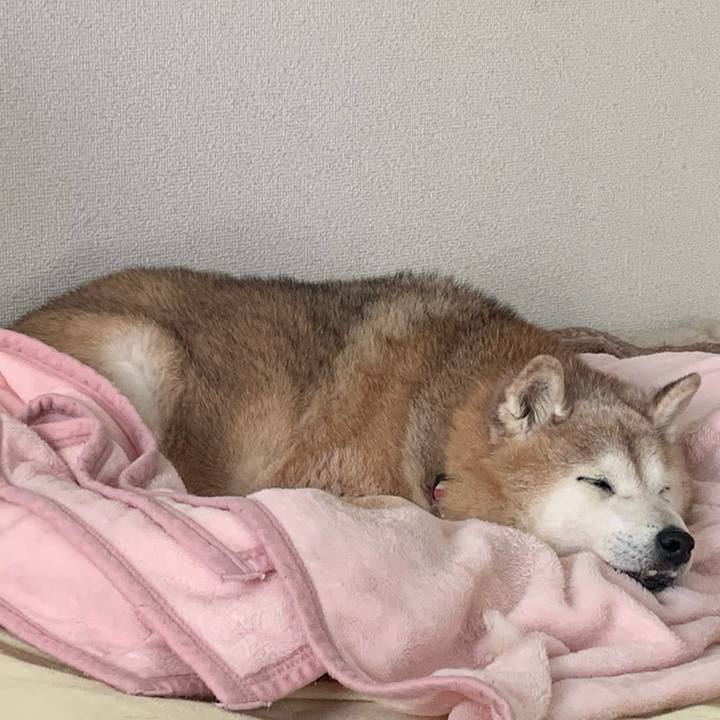 4f945d6a fbd1 4aa3 b286 5f024fd2e52c 1674619323178