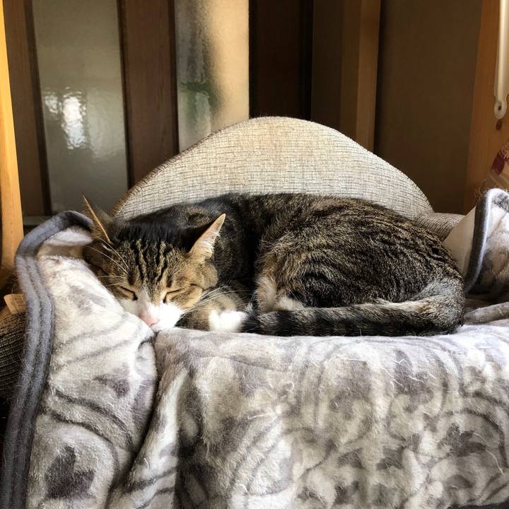 4f945e9c 135f 4c32 98fb e904c2353a2c 1624581205729