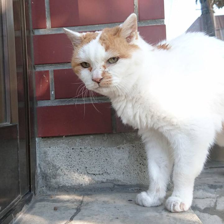 4f949512 60a3 42b6 89c1 32e3704df986 1657428580589