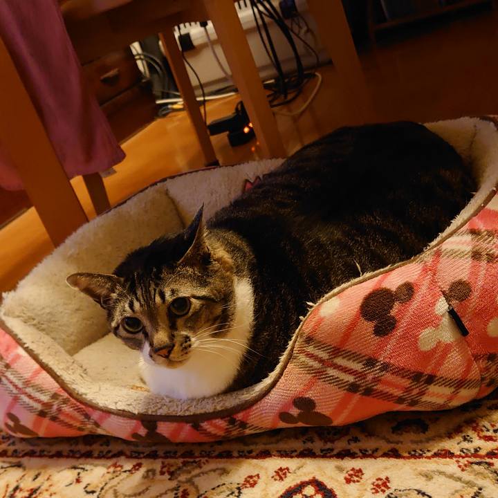 4f949d96 eb1c 4702 94d7 a3c2b9f5ddbb 1610410368212