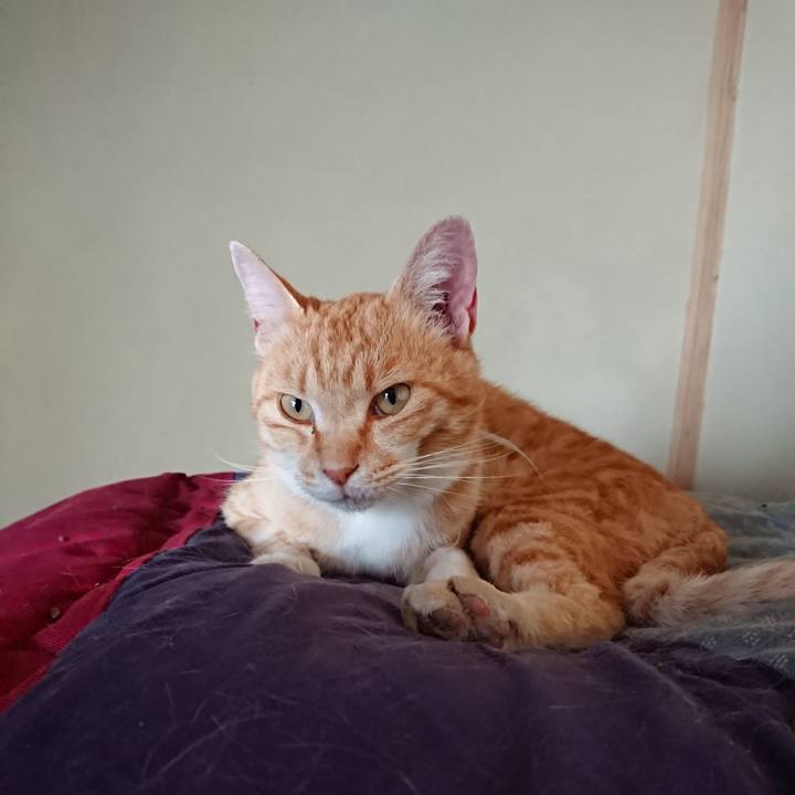 4f94ae29 3fba 428e 9fed dcfdf5743e01 1590891873488