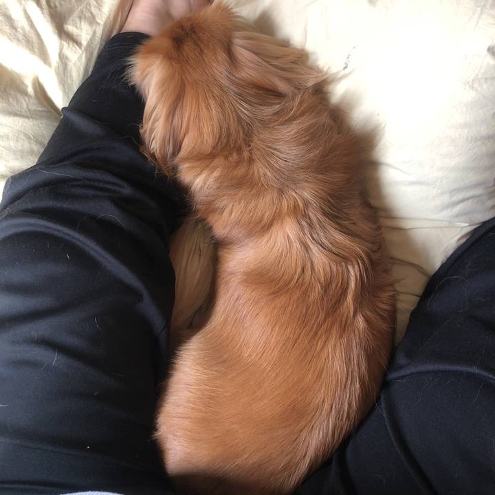 4f950496 ed45 41d6 9d0d fd157fba9eea 1539392237199