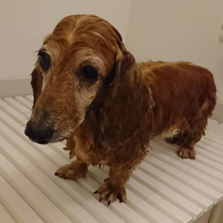 4f9516d1 5957 43b1 9e48 07ee8874bda4 1509607247460