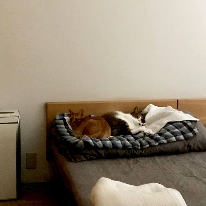 4f95313b acf3 4d9d b03c 070a14db331a 1565917287821