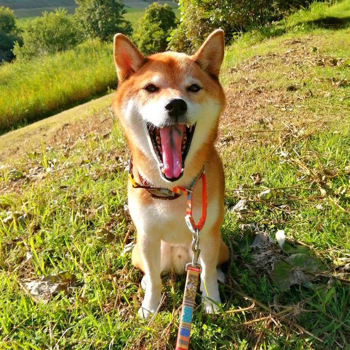 4f954c1d f227 48c8 b70d 08ac4bb1b203 1662193370737