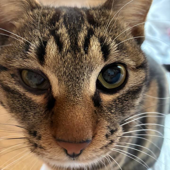 4f956def 5b3c 4959 8583 994057c636ce 1775250074551