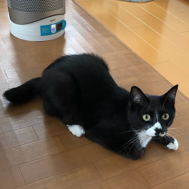 4f957041 0c4c 4de8 b54a 1bbfa7274d41 1595567604581