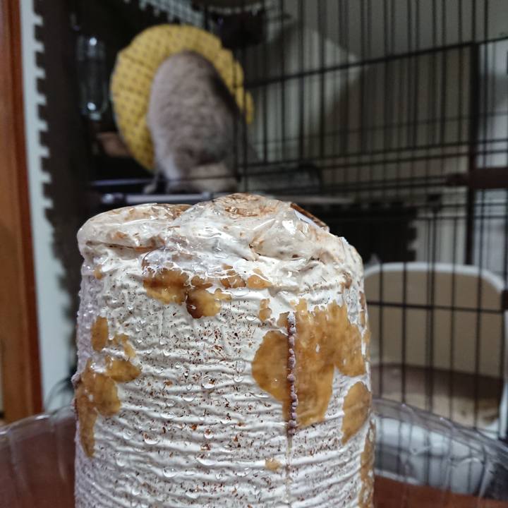 4f959d17 c40e 46cd 85ce 25a9d7d60c51 1601035395300