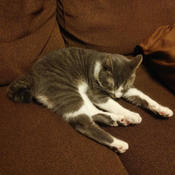 4f95c0ab 8a23 4a0e bbcb 3ed3054a3d77 1588328124080