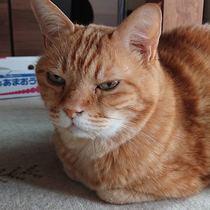 4f95d62a 084a 46da a4b2 914e1f233908 1613269529398