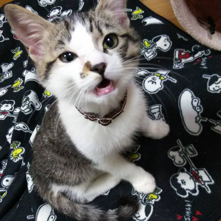 4f95e44c ca98 4d5a 91e6 217bd10035ab 1610542172664