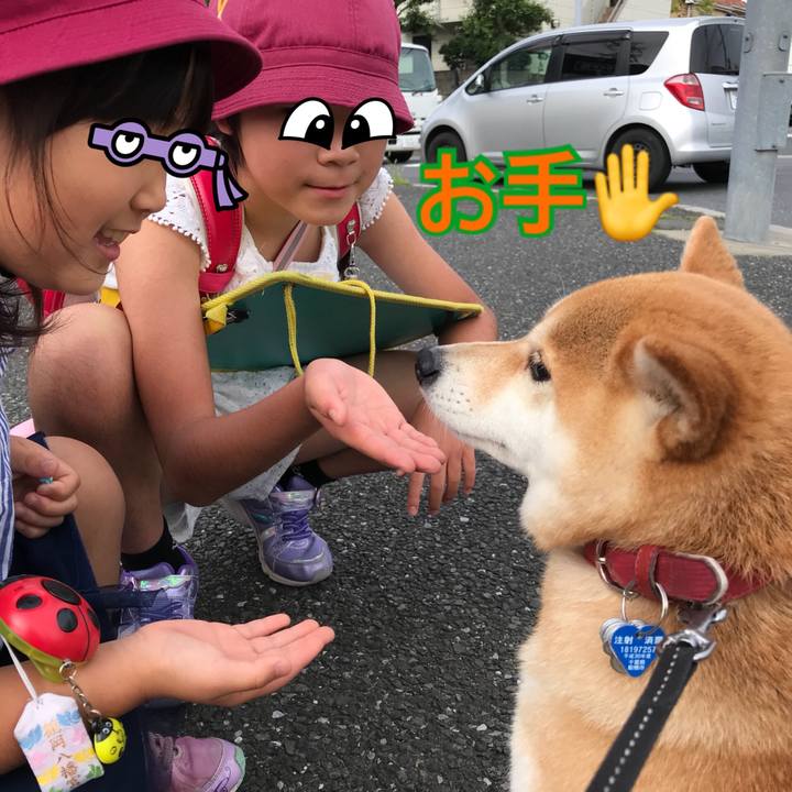 4f95f641 10aa 4512 9099 ff54fbaf5133 1528981620503