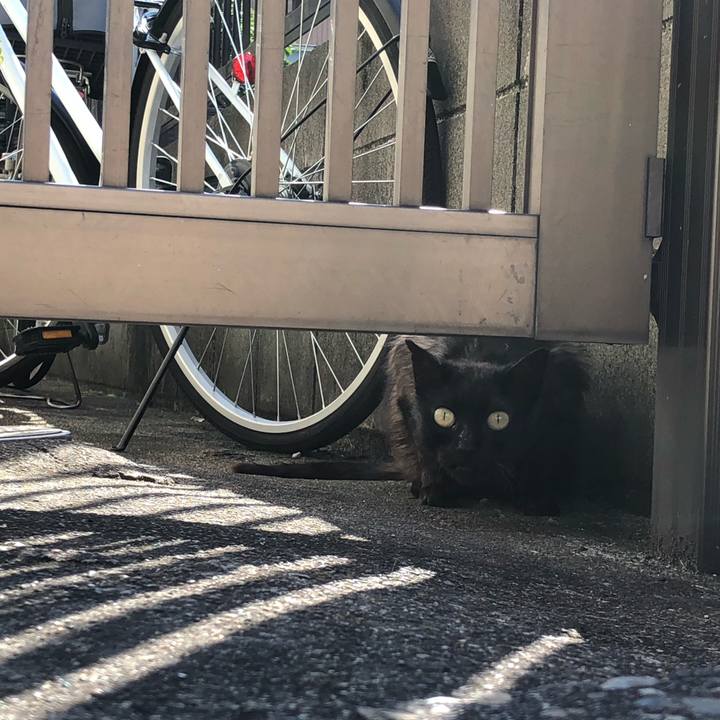 4f95fd4f 3947 4c95 8112 95afd9008889 1623310162810