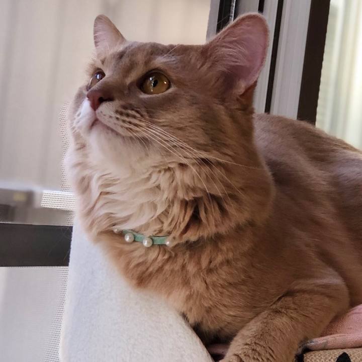 4f9604c2 4af6 4a83 8dc5 881d9a28d57a 1559167742305