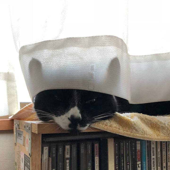 4f960da5 21b7 4346 930a f633cc7f90a3 1518605479862