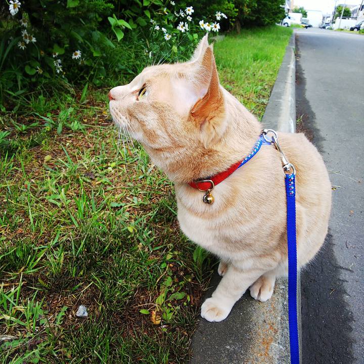 4f961240 a2a4 402a a403 b4f17b0ec18d 1593728186586