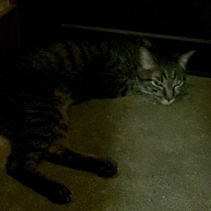 4f962c3a c1fc 4902 beca 3e7488643e45 1533494827920