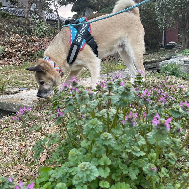 4f9646ae 1a78 4372 8783 970e838e11b9 1709814278552