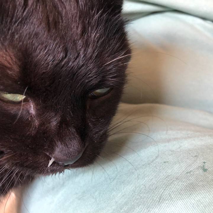 4f964c99 57f1 4d9c 8e5d 1e445bf88223 1627693112420