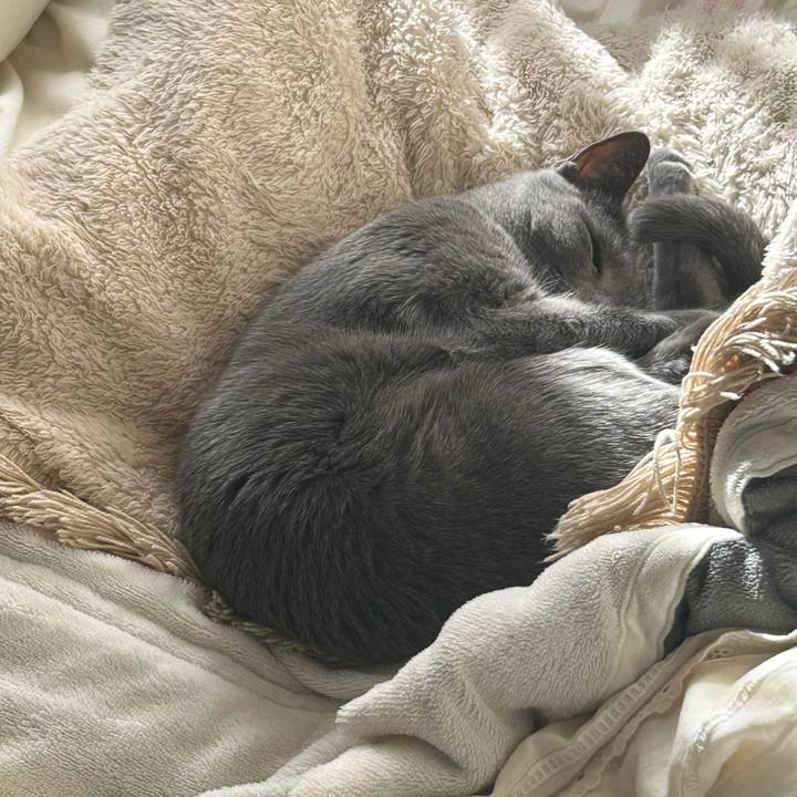 4f969fef e61a 4e6f b37a ddce327ee888 1733122795909