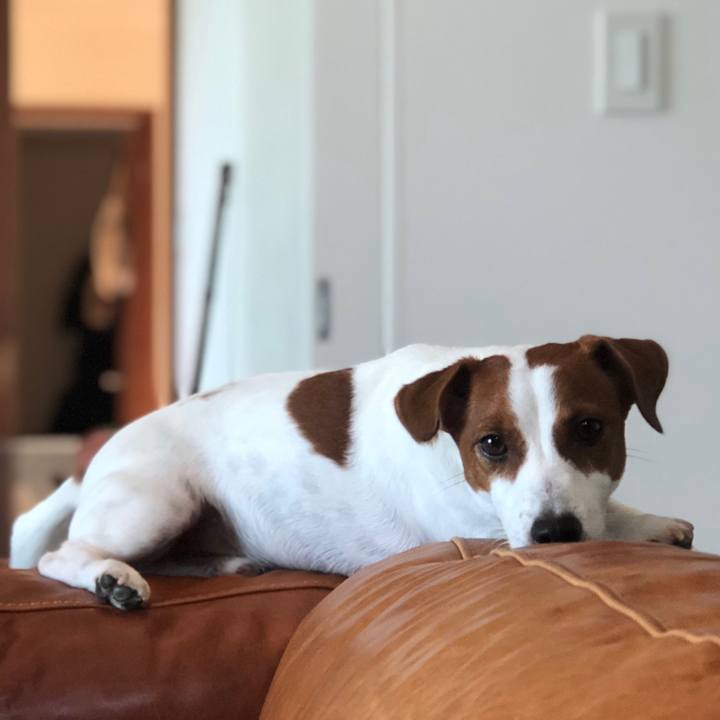 4f96b7c4 a132 41ef 9214 07e5afa4ea80 1567561078964