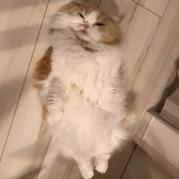 4f96c85e 07e0 4847 bf09 45394ccd27f2 1586683358903