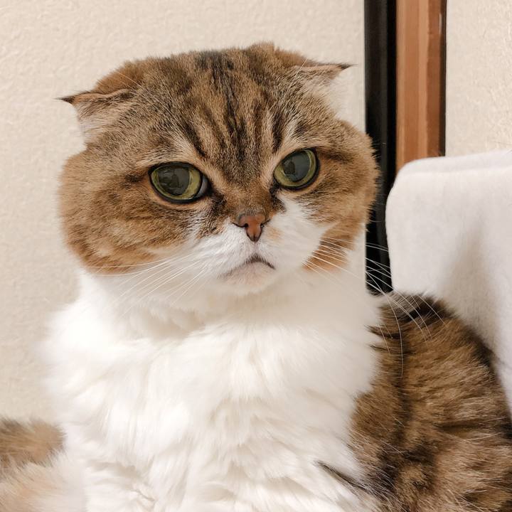 4f96e15b 7f1b 4774 83b2 021b226034a2 1608903775491