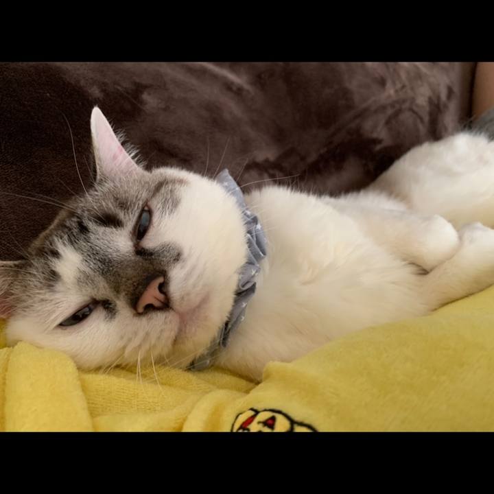 4f96e76b fa42 40d1 bbf7 cc829e1cb345 1590809755342