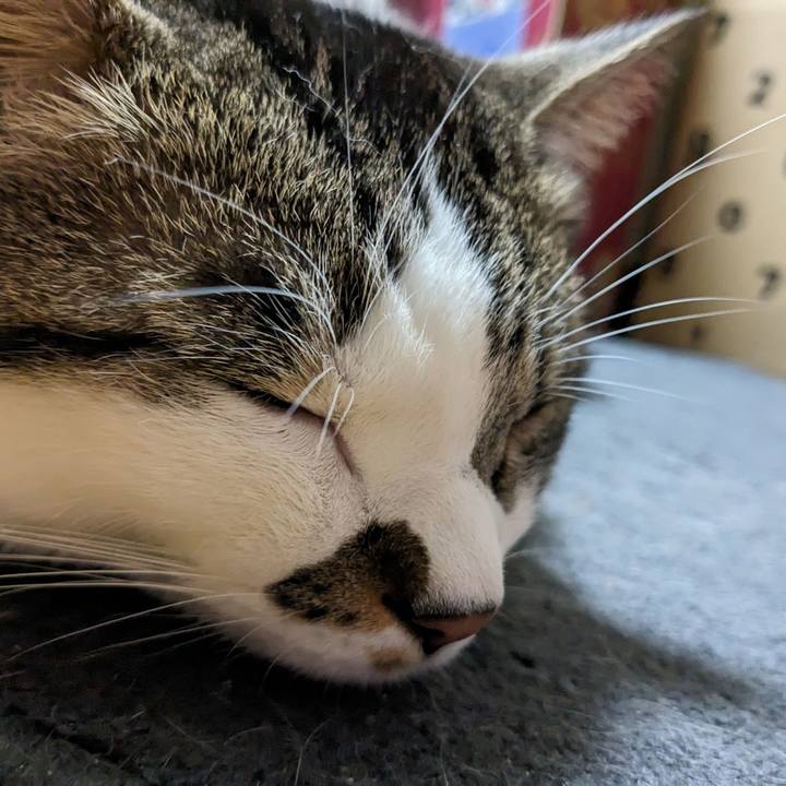 4f96f00a 1769 4231 89f3 ab0a65fd0c3f 1712958577867