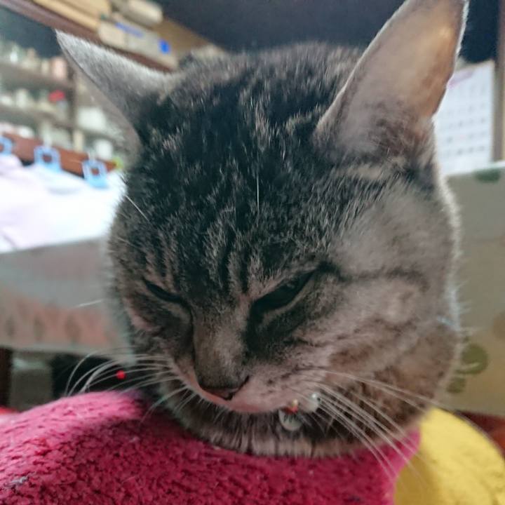 4f970726 f955 4d01 aced 6b6418a93c3a 1554152184714