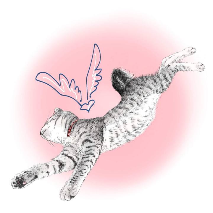 4f97234b eea2 444d b67f c7c08bc4c2fc 1591018874695