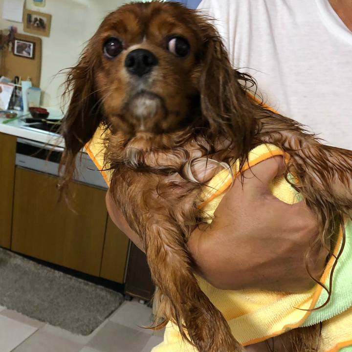 4f973903 19fa 4208 a21d 47021eebd73f 1571562796949