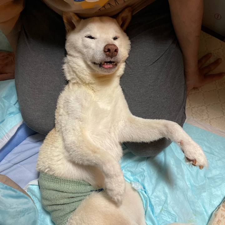 4f975c10 d1f3 4de1 8b30 d0bad4ca7f81 1668174153647