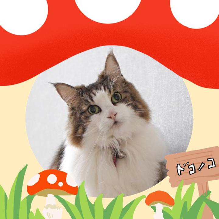 4f977a95 6504 4bfb ae03 27953b8ecb0b 1730365431841