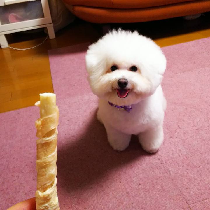 4f97ce3a 9165 416b 9041 dfe60b0de97e 1551180906348