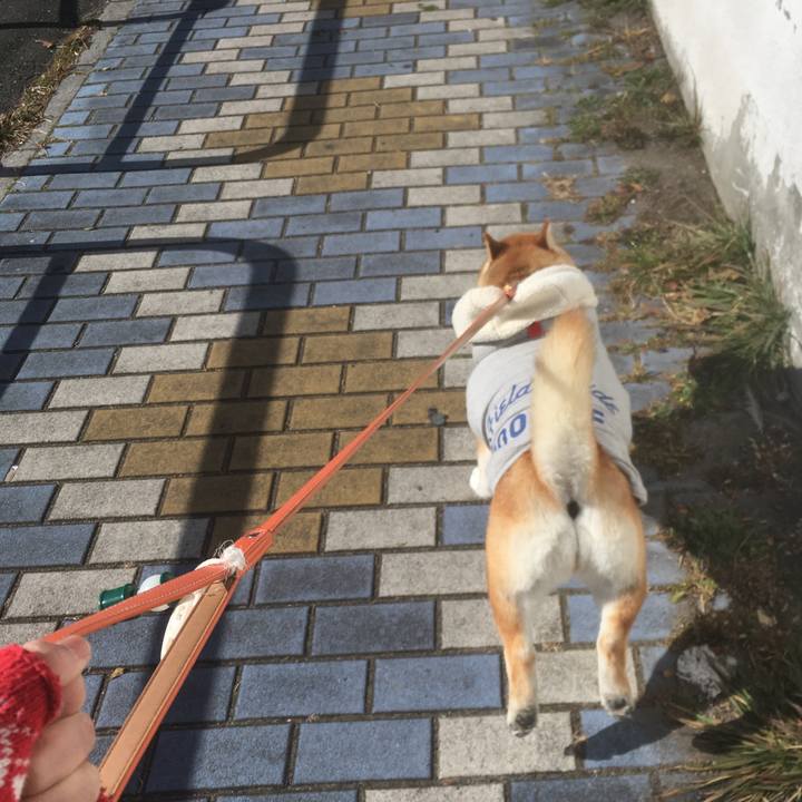 4f97d098 954f 48b1 b8fb cc9e9bd5513e 1546830072595