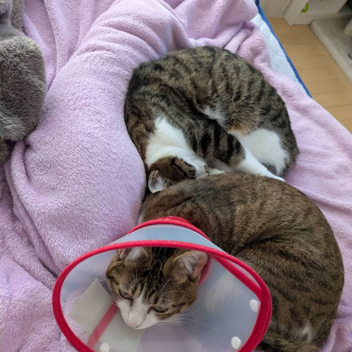 4f97e93f 9d9c 4328 8255 1151ec136e07 1763938729960