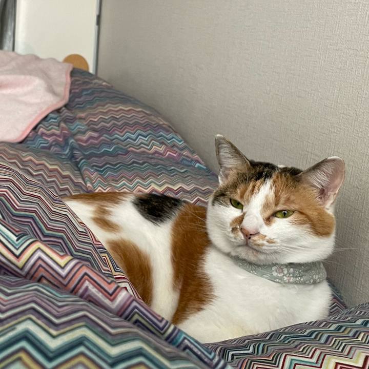 4f98322b cb4b 4d98 ac5f 6bfcb794a8f5 1665284628310