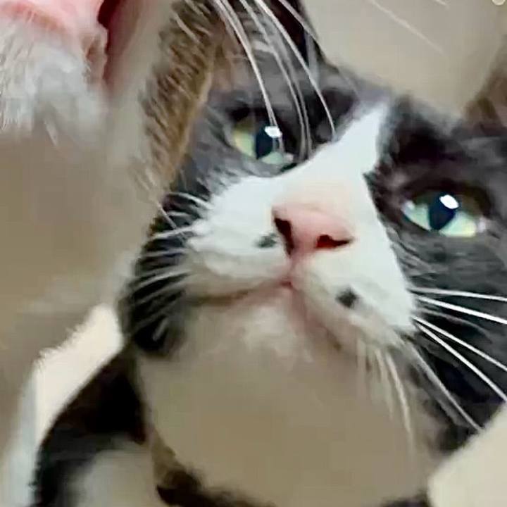 4f9842f1 75c0 40ea 99b6 b3495571e845 1754272708958