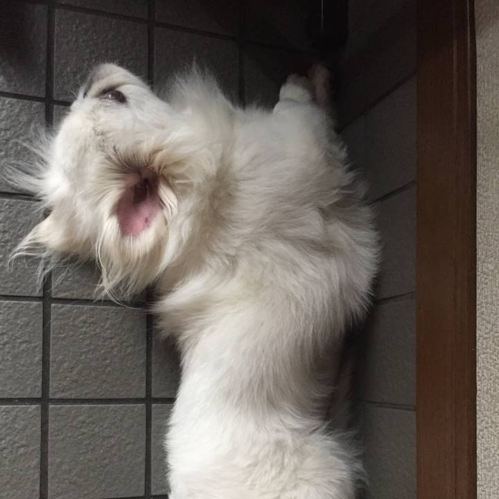 4f987535 ec8c 46b6 9e4f a0eb472b6629 1563691733987