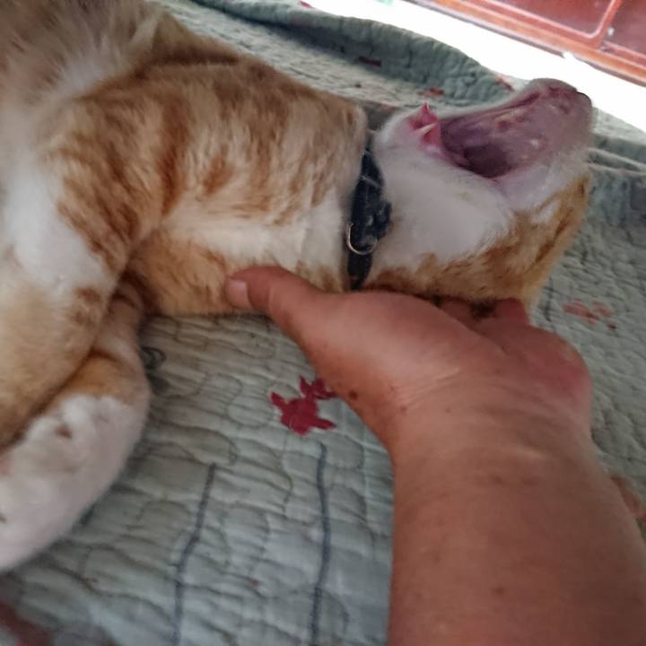 4f988765 a4d2 43dd 813a 02b19692e3e9 1563155148022