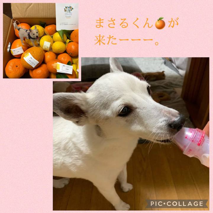 4f98e12e 90b9 4268 9f88 0aff514da8e9 1771452314393