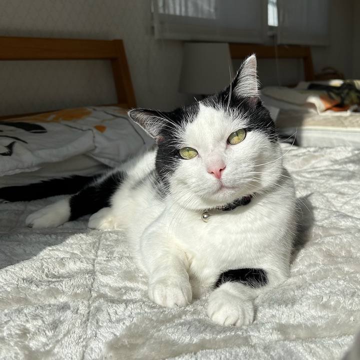 4f991cb0 8cd3 4cef b006 54e3e5d3cd41 1769903129561