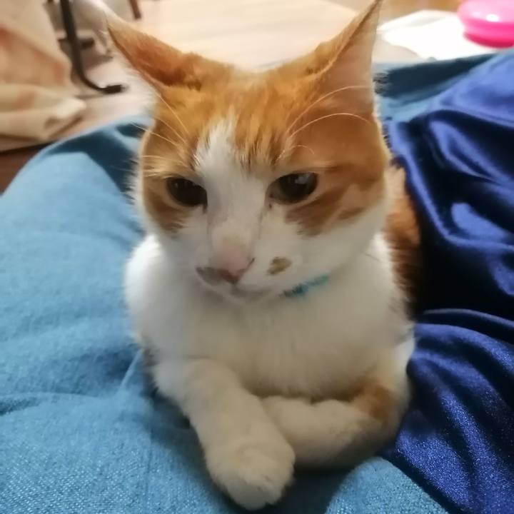 4f99436c 7834 45b6 bf78 ac8cd5351b1a 1614774798345