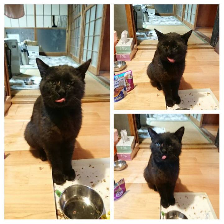 4f9961f3 19be 4f91 b6a7 8be5ef3d4549 1623497397225