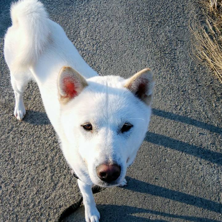 4f996f4c 085e 45fd b217 0daab0473ad2 1525990611475