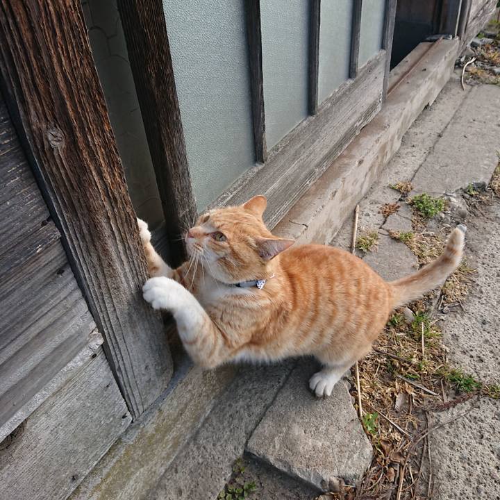 4f99c648 f626 4300 902c d71b7d77e559 1586990307143